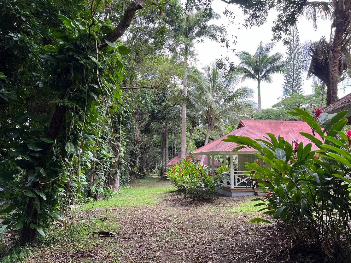 Evasion Bungalow Tropical Spa Sarraméa Extérieur photo